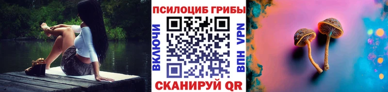 Псилоцибиновые грибы Cubensis  сколько стоит  Искитим 